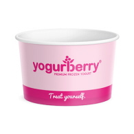 147_FC16 440ml Food Container Yogurberry
